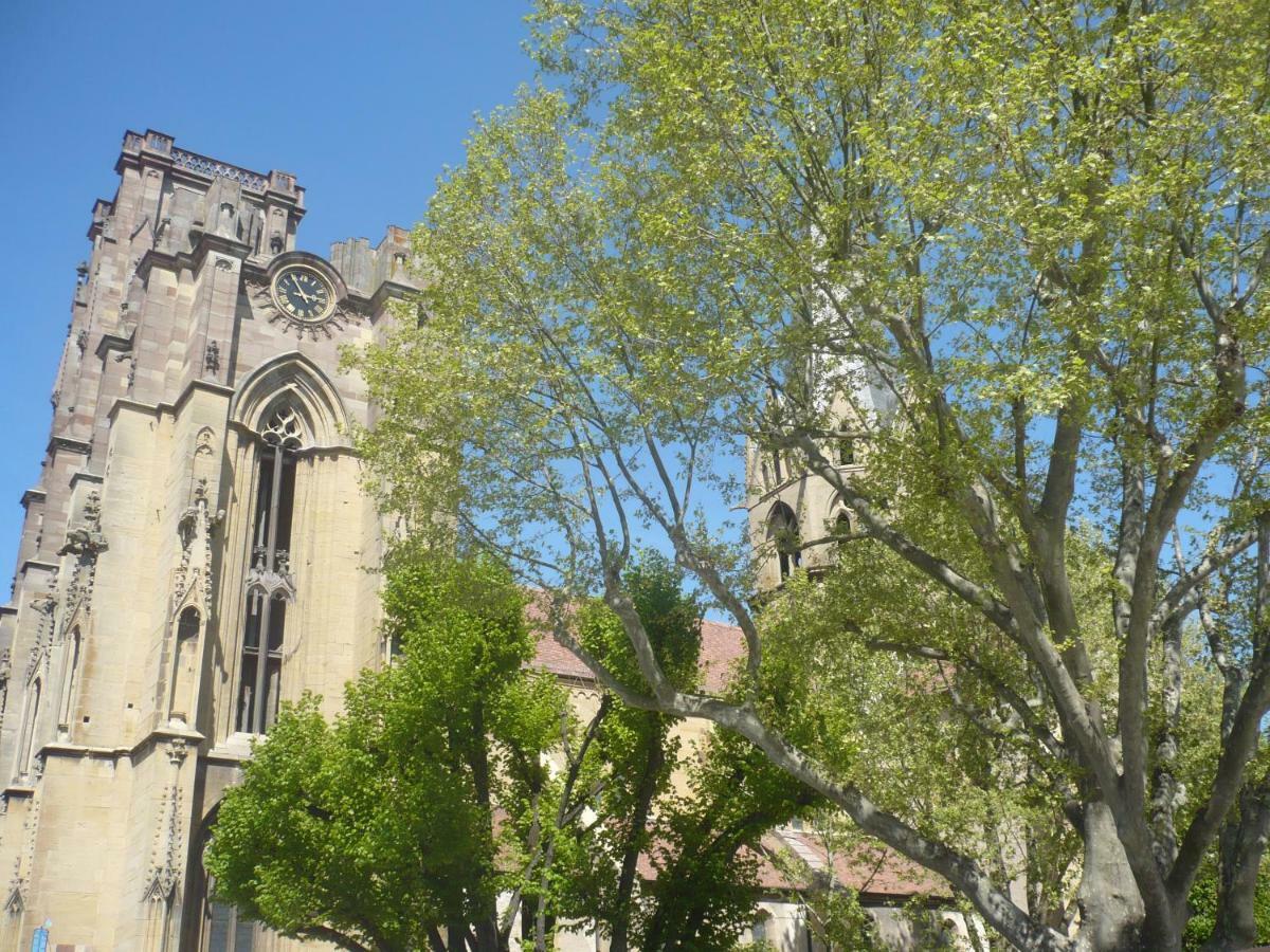 Gite En Alsace ロウファッハ エクステリア 写真